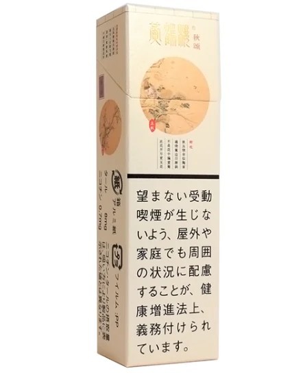 黄鹤楼 四季